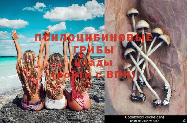 марки lsd Балабаново